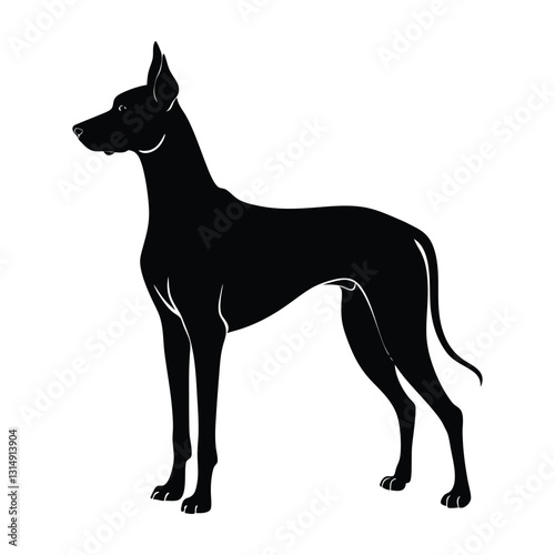 Great Dane with Elegant Posture Standing Tall Silhouette on White Background