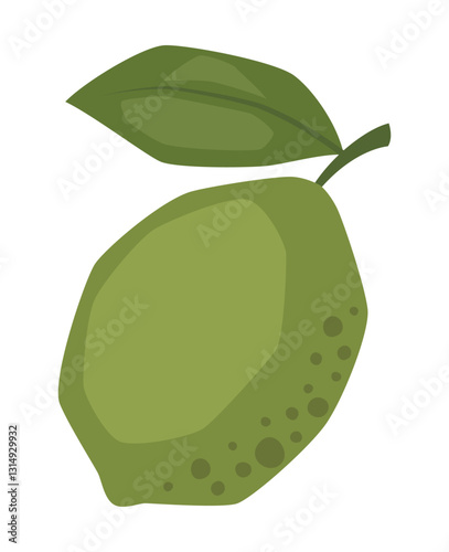 Vector isolated simple lime illustration