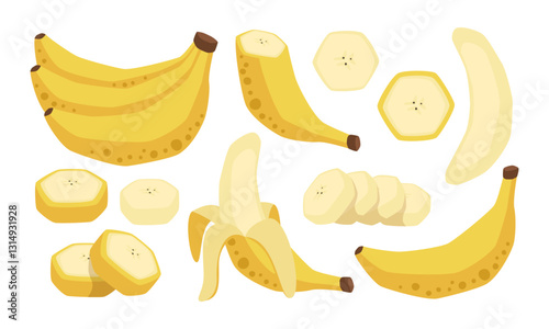 Vector isolated set of bananas, whole, peeled and slices