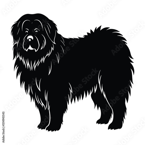 Tibetan Mastiff Standing with Dense Mane-Like Fur Silhouette for Pet Stock