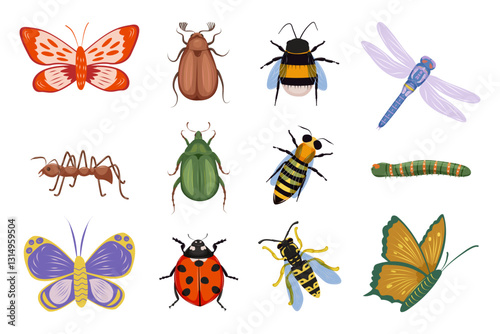 Set of summer meadow and forest insects. Butterfly, dragonfly, ant, ladybug, bee, bumblebee, wasp, caterpillar, green beetle and cockchafer. Top view. Isolated vector illustration on white background.