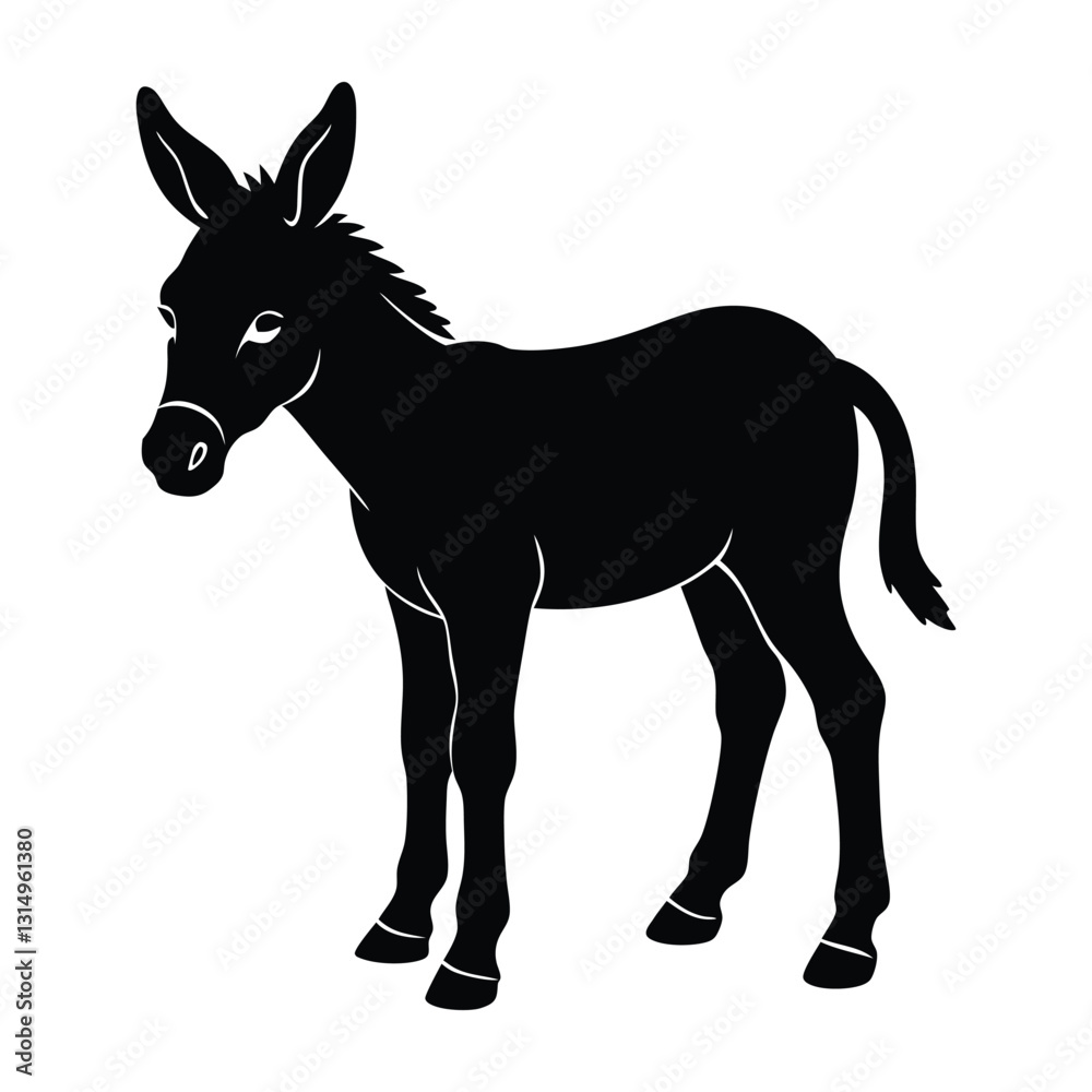 Obraz premium Donkey foal standing with small ears and short manes silhouette