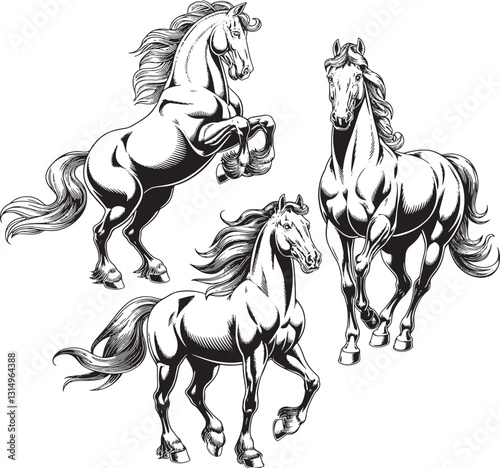 black and white horse