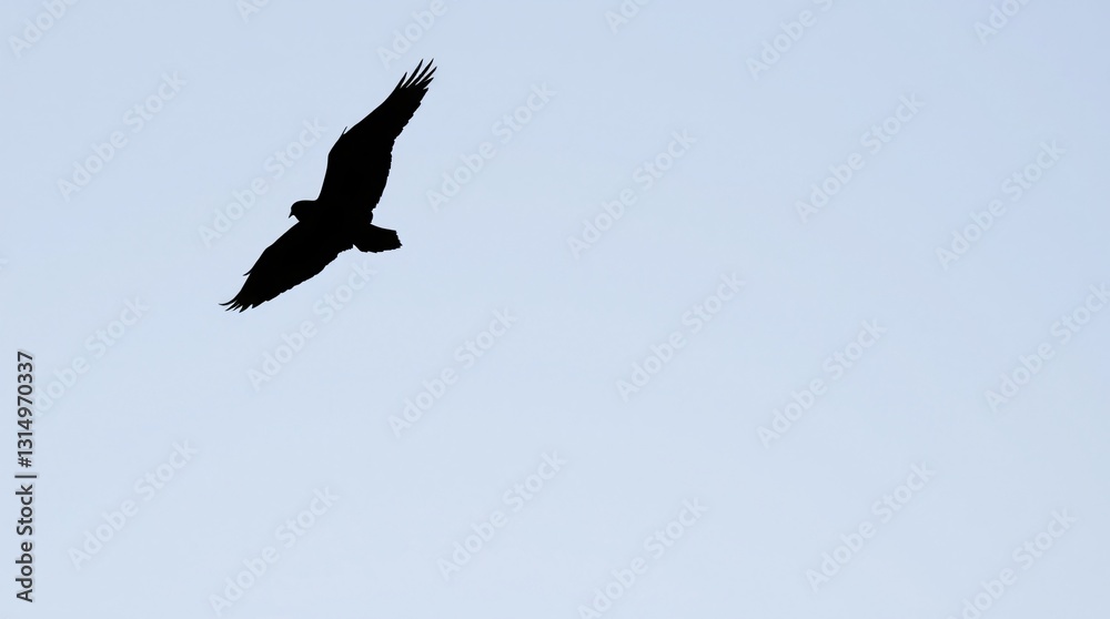 Majestic Bird in Flight Silhouette Against Clear Blue Sky Majestic Bird in Flight Silhouette Against Clear Blue Sky