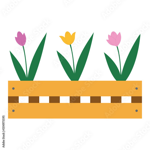 Tulips in a wooden box for the yard and garden. Spring blooming flowers. Isolated vector illustration on a transparent background.
