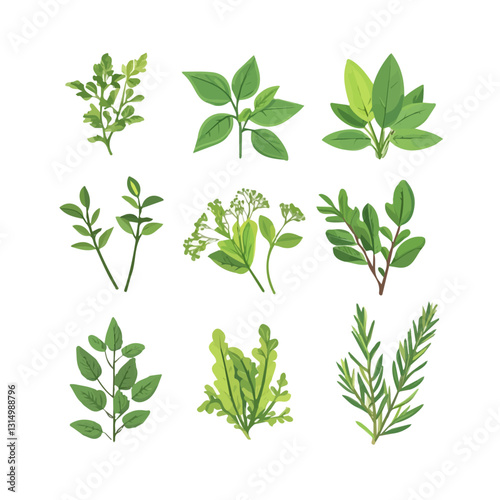 2D flat vector illustration A collection of freshly picked herbs from the garden icon isolated on a white background.

