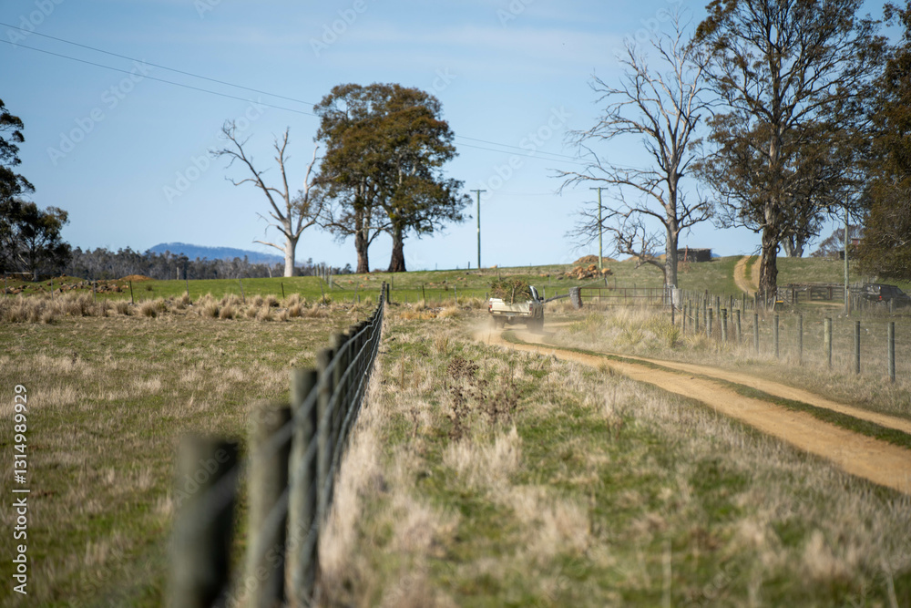 Fototapeta premium agriculture farming landscape with livestock and crops grown sustainable practices