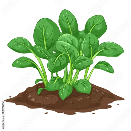 2D flat vector illustration A patch of freshly grown spinach in the garden icon isolated on a white background.


