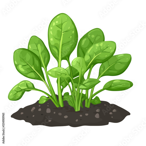 2D flat vector illustration A patch of freshly grown spinach in the garden icon isolated on a white background.


