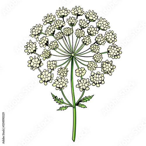 vector illustration of flowers