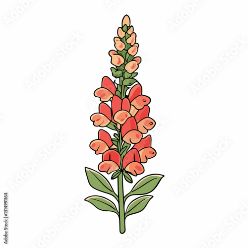 snapdragon flowers vector