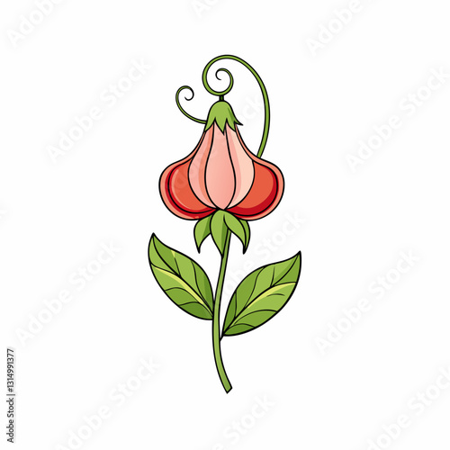 sweet pea flower vector