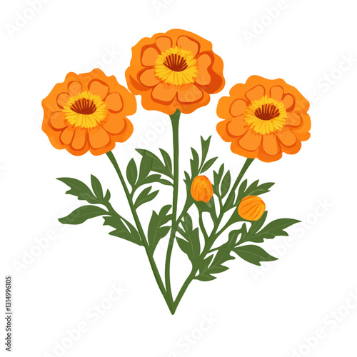 2D flat vector illustration Bright orange marigolds icon isolated on a white background.


