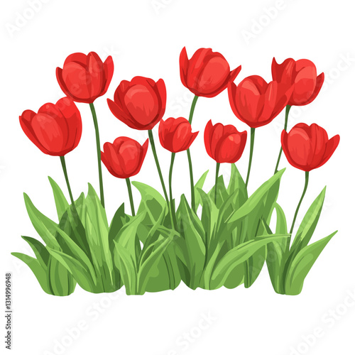 2D flat vector illustration Bright red tulips in a spring icon isolated on a white background.

