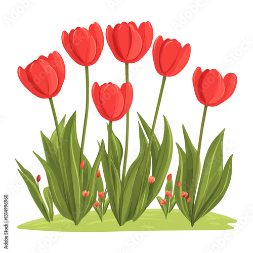 2D flat vector illustration Bright red tulips in a spring icon isolated on a white background.

