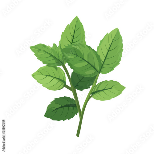 2D flat vector illustration Fresh green mint leaves in spring icon isolated on a white background.

