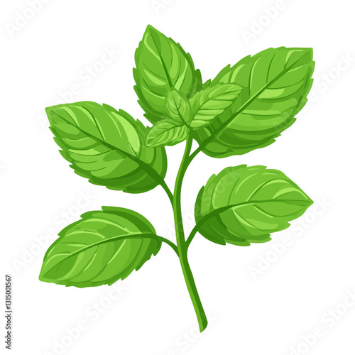 2D flat vector illustration Fresh green mint leaves in spring icon isolated on a white background.

