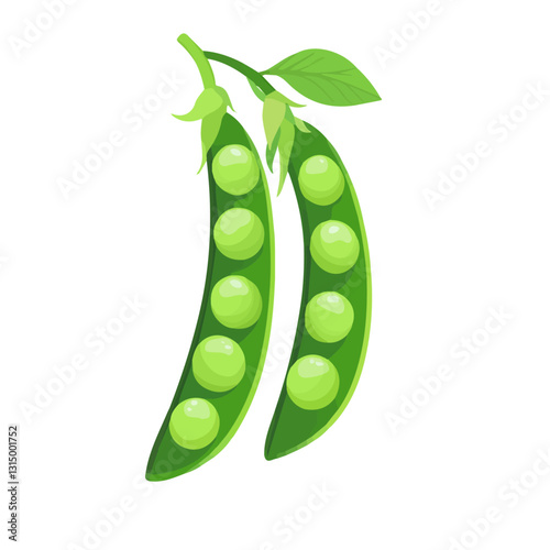 2D flat vector illustration Fresh green peas in a spring garden icon isolated on a white background.

