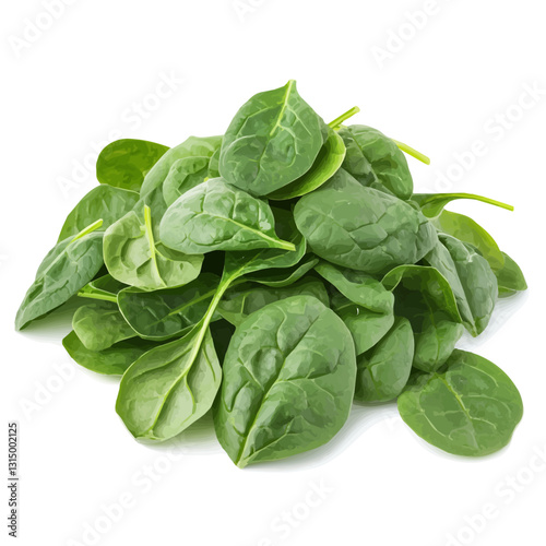 2D flat vector illustration Fresh green spinach leaves icon isolated on a white background.

