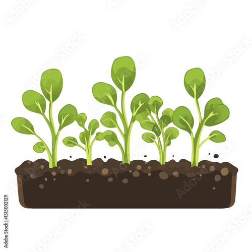 2D flat vector illustration Fresh green sprouts in a garden bed icon isolated on a white background.


