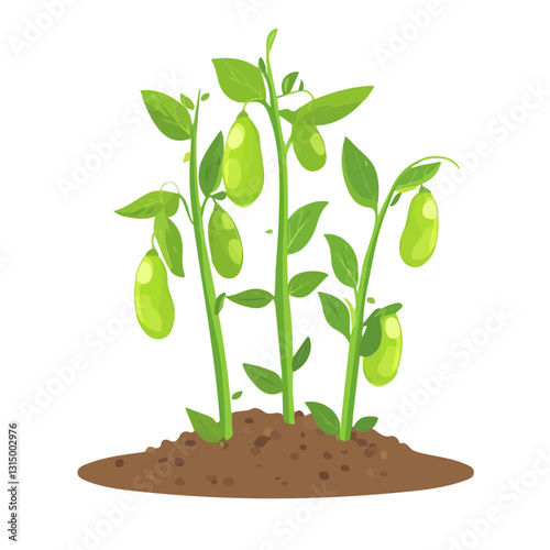 2D flat vector illustration Fresh peas growing in a garden icon isolated on a white background.

