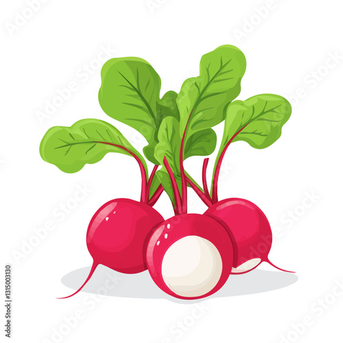 2D flat vector illustration Fresh radishes from the garden icon isolated on a white background.


