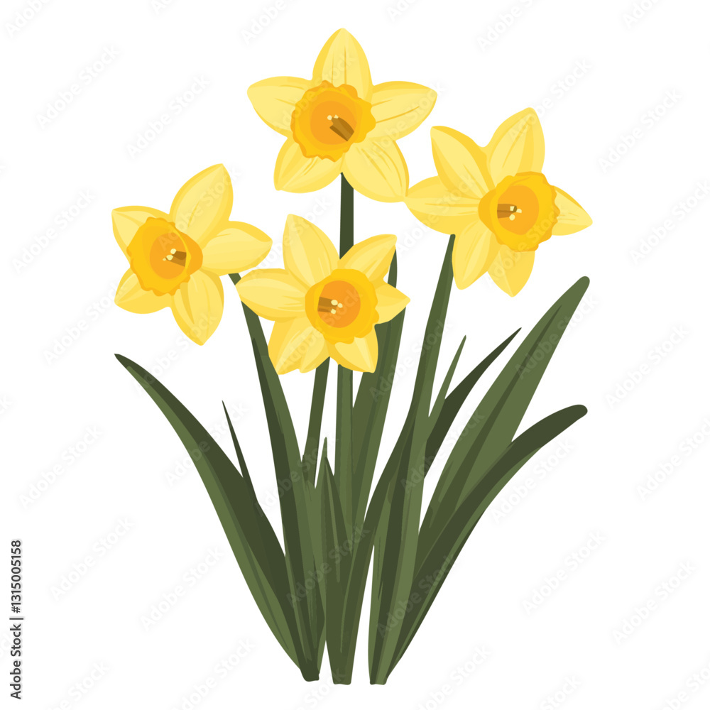 2D flat vector illustration Freshly bloomed yellow daffodils icon isolated on a white background.
2D flat vector illustration Freshly bloomed yellow daffodils icon isolated on a white background.