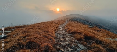 Fototapeta Naklejka Na Ścianę i Meble -  Golden hour light illuminates a rocky hiking path winding through dry grass towards the rising sun over a misty mountain range in the tatra mountains, poland