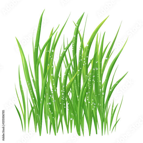 2D flat vector illustration green grass with morning dew icon isolated on a white background.

