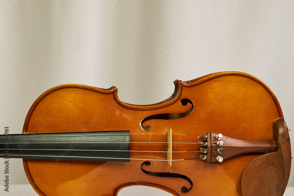Beautiful Violin, string musical instrument, used for the interpretation of classical and modern music Beautiful Violin, string musical instrument, used for the interpretation of classical and modern music