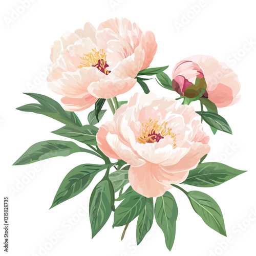 2D flat vector illustration soft pink peonies icon isolated on a white background.

