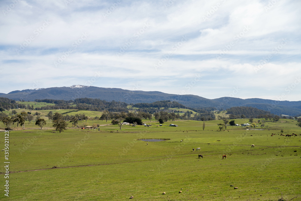 agriculture farming landscape with livestock and crops grown sustainable practices agriculture farming landscape with livestock and crops grown sustainable practices