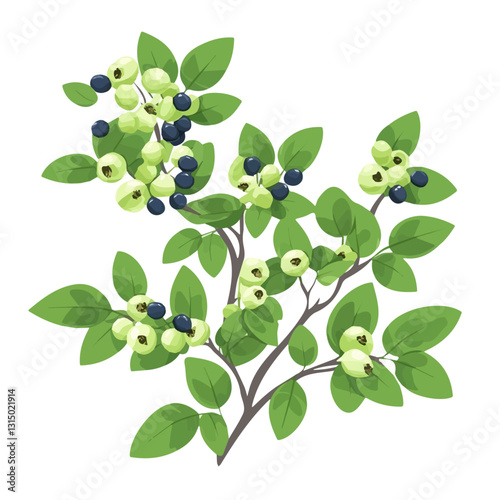 2D flat vector illustration spring berries ripening on a bush icon isolated on a white background.

