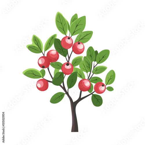 2D flat vector illustration spring berries ripening on a bush icon isolated on a white background.

