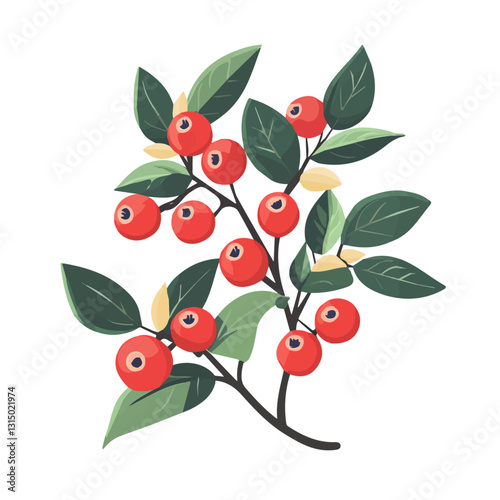 2D flat vector illustration spring berries ripening on a bush icon isolated on a white background.

