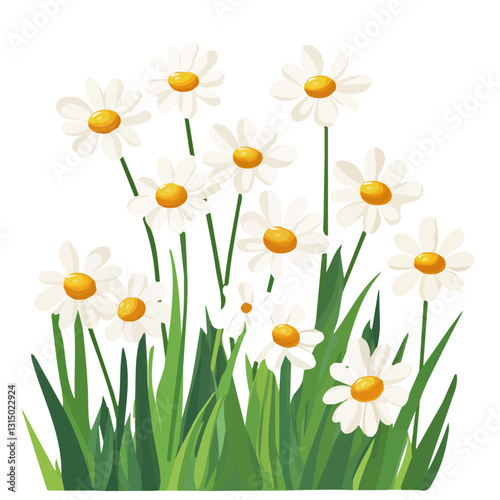 2D flat vector illustration spring daisies in a meadow icon isolated on a white background.

