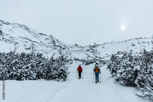 Obraz na płótnie Ein Spaziergang durch den Tiefschnee in der Südtiroler Region am Berggasthaus Pederü - Südtirol - Italien w salonie