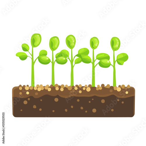 2D flat vector illustration sprouting peas in a garden bed icon isolated on a white background.

