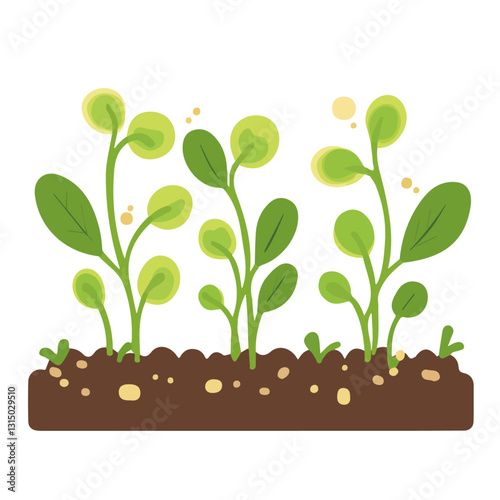 2D flat vector illustration sprouting peas in a garden bed icon isolated on a white background.

