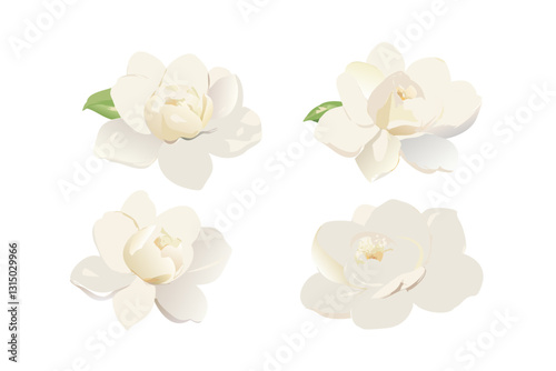Serene Jasmine: An artistic arrangement of delicate jasmine blossoms, each petal meticulously rendered, showcasing their elegant simplicity.
