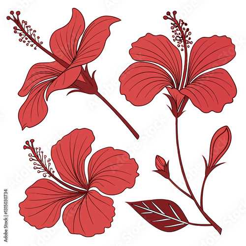 : 1315030734 - Original name(s): A tropical red hibiscus flower with five broad petals and a protruding stamen, presented in a clean vector style on a white background (13).
