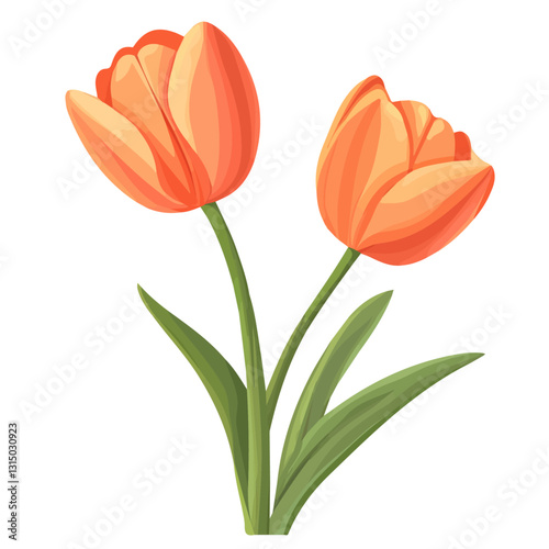 2D flat vector illustration vibrant orange tulips icon isolated on a white background.

