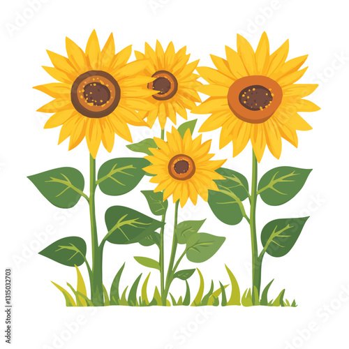 2D flat vector illustration vibrant yellow sunflowers in the garden icon isolated on a white background.

