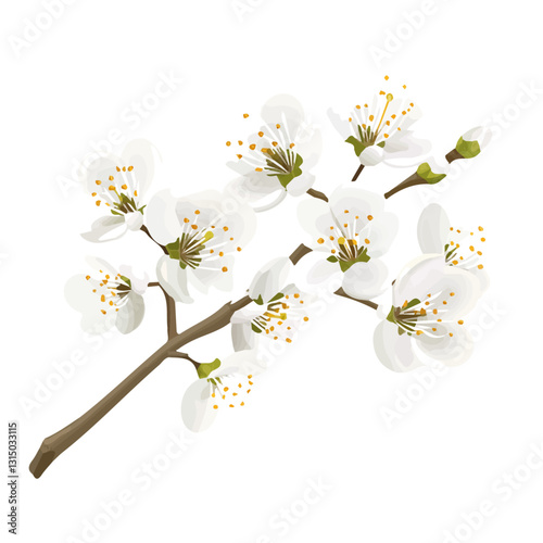 2D flat vector illustration white cherry blossoms in spring icon isolated on a white background.

