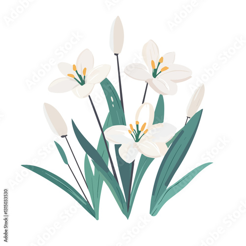 2D flat vector illustration white lilies blooming in spring icon isolated on a white background.

