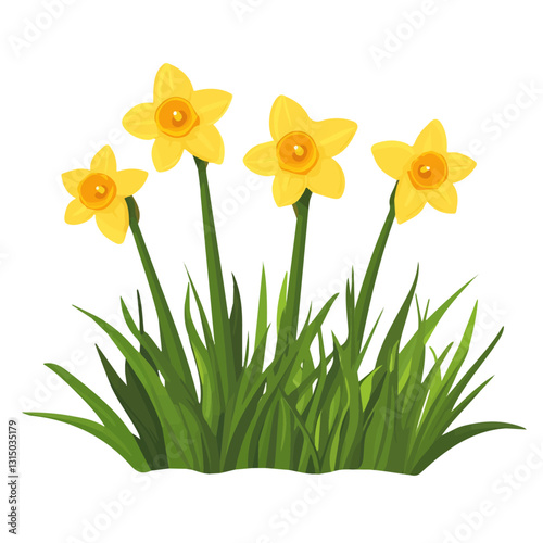 2D flat vector illustration yellow daffodils in a spring field icon isolated on a white background.

