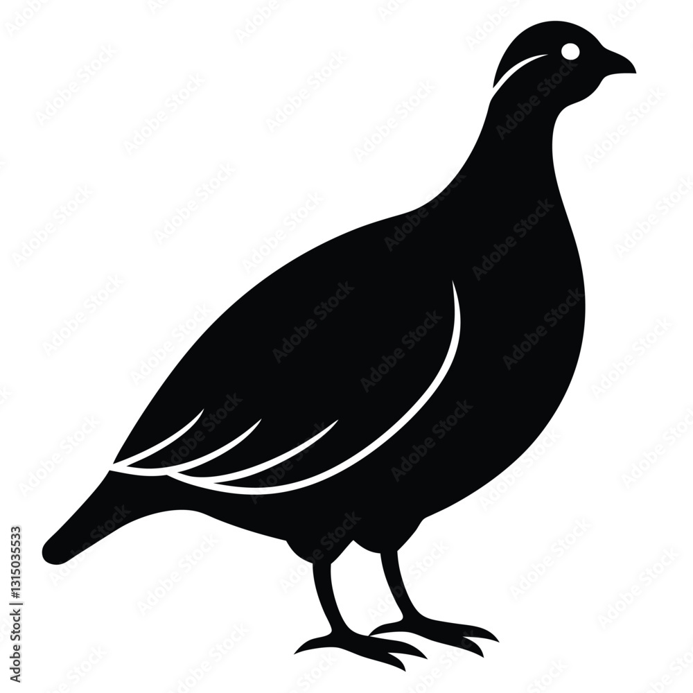 Silhouette of a pigeon with feathers isolated on black background Silhouette of a pigeon with feathers isolated on black background