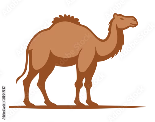 Fototapeta samoprzylepna Wielbłąd ilustracja