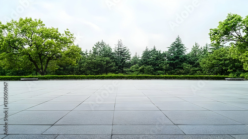 Empty Wet Parking Lot With Green Trees And Overcast Sky Perfect Background For Product Placement