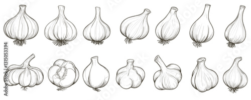 Linear icons set of garlic bulbs, cloves, and varieties in flat style.